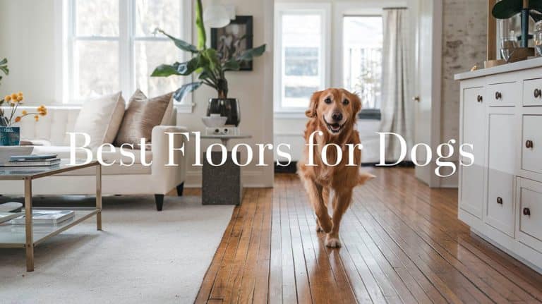 Best Floors for Dogs (Popular Flooring Types)
