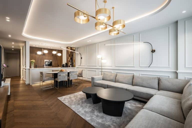 Cove Light Ideas (Types & Ceiling Lighting Designs)