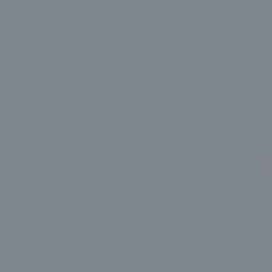 Sherwin-Williams Serious Gray (SW 6256)