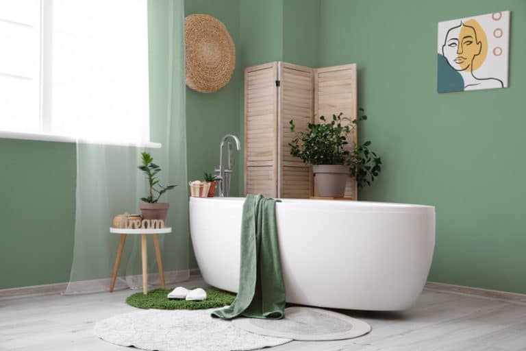 Green Bathroom Paint Colors (Light & Dark Ideas)