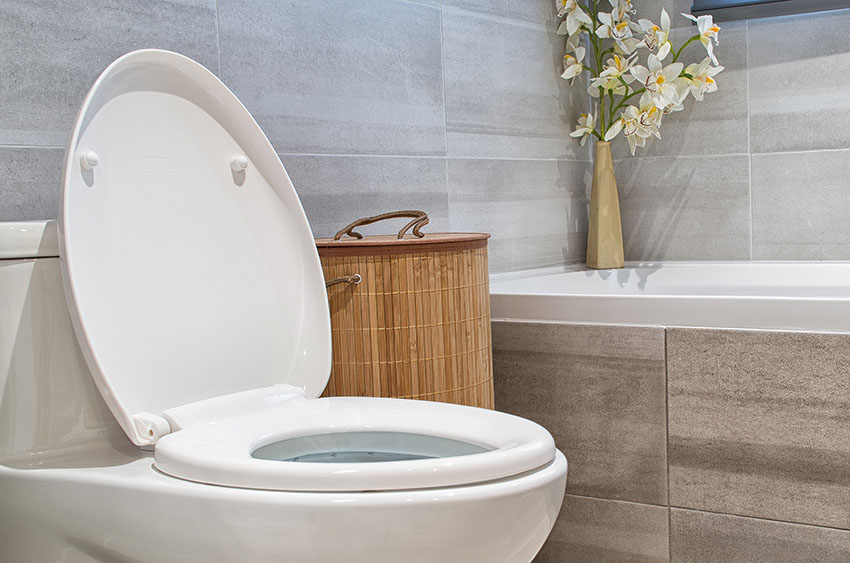 Toilet with toilet seat bathroom plant laundry basket